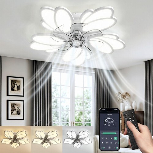 Ventilatore soffitto con - ventilatore,